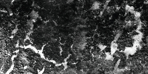 An abstract and visually captivating study of the intricate patterns and irregularities found within this textured domain.
