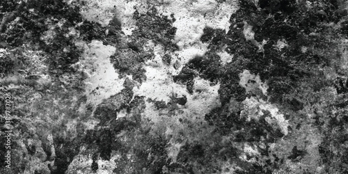 A monochromatic exploration focusing on the sculptural aspects of a surface defined by its varied textures and contours.

Sources and related content
