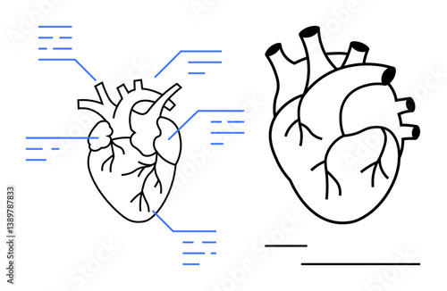 Human heart diagram with anatomical labels and vascular system, outlining structure. Ideal for healthcare, education, anatomy, cardiology, medical training, biology, flat simple metaphor
