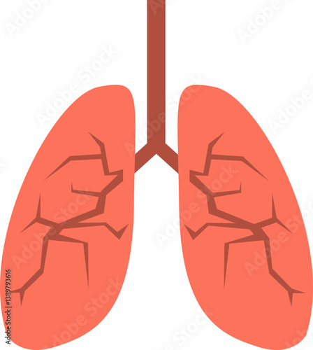 Human lungs anatomy illustration with trachea and bronchi.