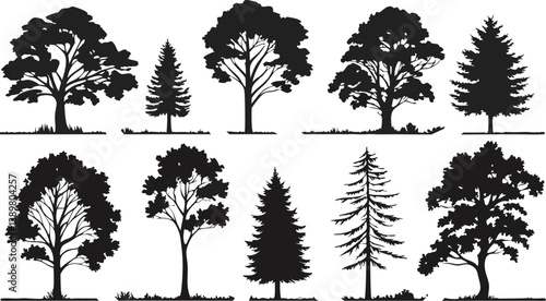 Silhouettes of trees, black and white illustration, variety of tree species, coniferous and deciduous, detailed branches and foliage, botanical art, park landscape elements, vector graphics style, min
