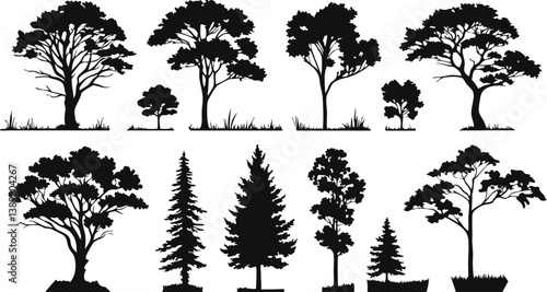 Silhouettes of trees, black and white illustration, variety of tree species, coniferous and deciduous, detailed branches and foliage, botanical art, park landscape elements, vector graphics style, min
