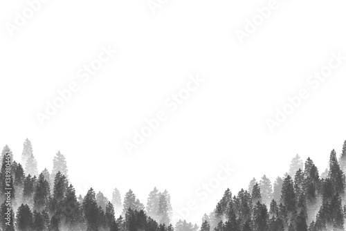 Fototapeta Naklejka Na Ścianę i Meble -  two tone pine trees frame, border forest with gray or vintage colors, nature background texture.