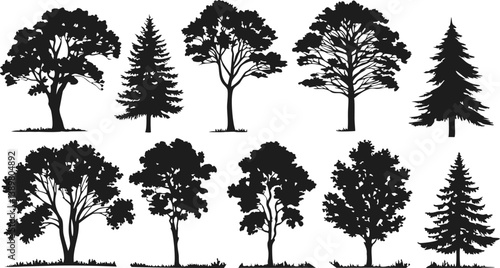 Silhouettes of trees, black and white illustration, variety of tree species, coniferous and deciduous, detailed branches and foliage, botanical art, park landscape elements, vector graphics style, min