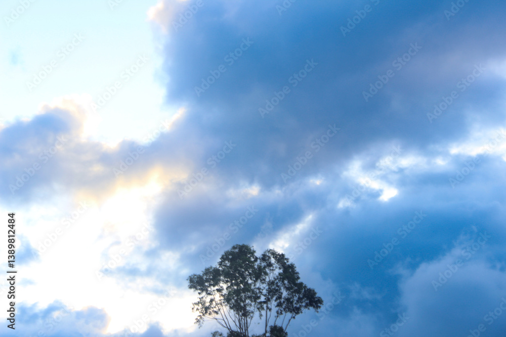 A single tree silhouetted against a dramatic, partly cloudy sky. The colors range from pale blue to deep blue-grey. A single tree silhouetted against a dramatic, partly cloudy sky. The colors range from pale blue to deep blue-grey.