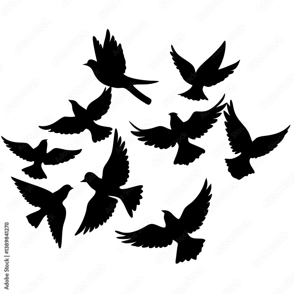 Fototapeta premium Many birds flying silhouettes vector illustration