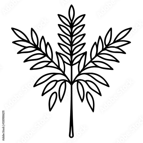pycnantha australia mimosa botanical golden acacia decorative shape tree tropical twig vector icon on white background