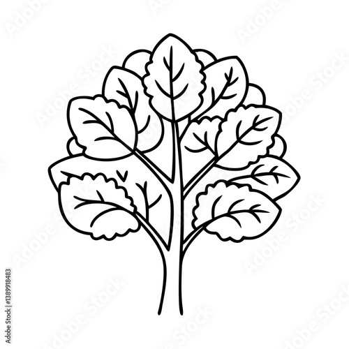 beech tree icon, beech tree line art - simple line art of beech tree, perfect for beech tree logos and icons