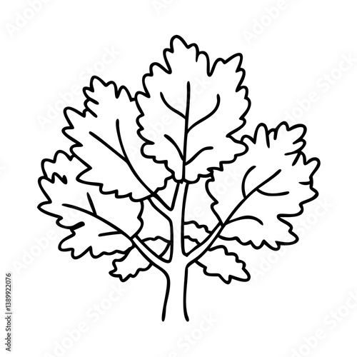sycamore tree icon, sycamore tree line art - simple line art of sycamore tree, perfect for sycamore tree logos and icons