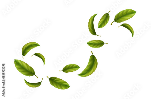 3d realistic vector icon illustration. Falling green tea leaves isolated on background. 