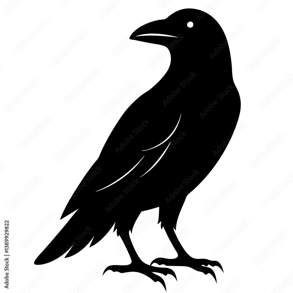 Fototapeta premium Sleek Black Crow Silhouette