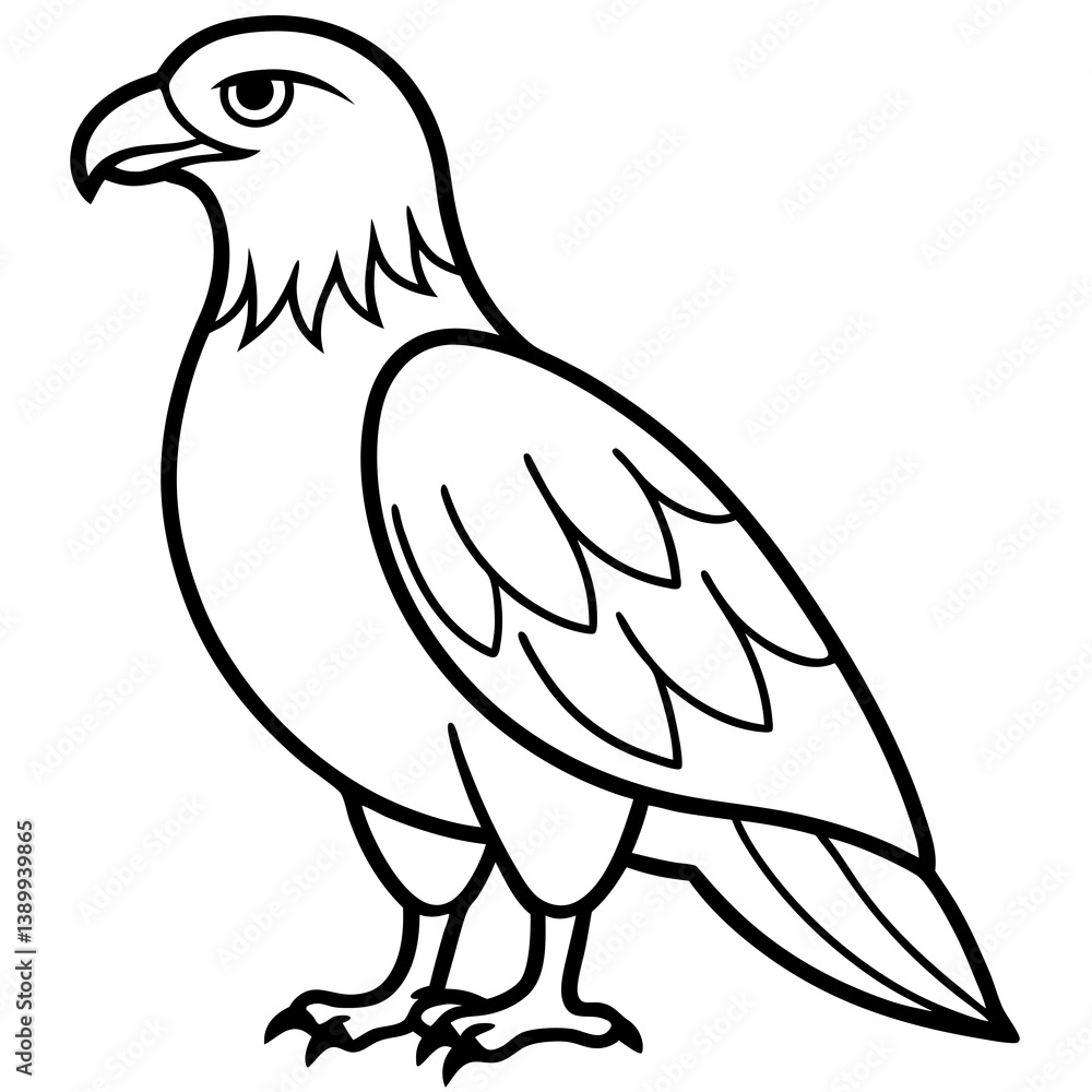 Fototapeta premium Sleek Eagle Outline Vector Design