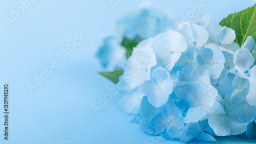 美しい水色の花のフォトジェニックなコピースペース