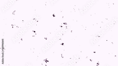 Animation of dust, dirt, and other debris 1