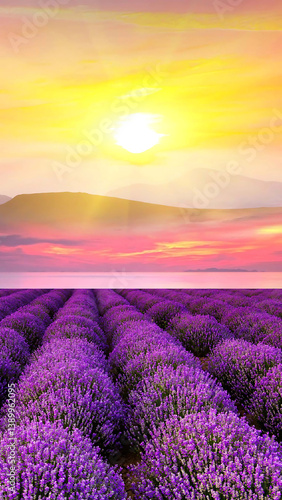 Yellow Purple Illustrated Background Space Phone Wallpaper - Flowers