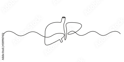One continuous line drawing of human liver organs. single line of liver drawing. illustration of liver anatomy concept. Graphic illustration