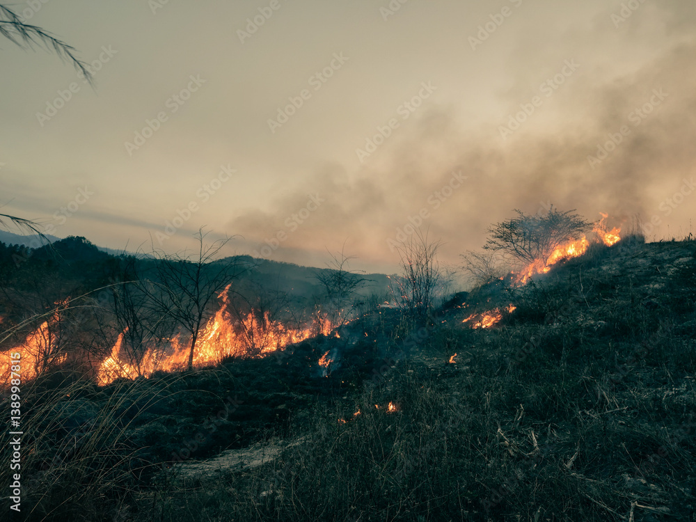 Fototapeta premium Incendio