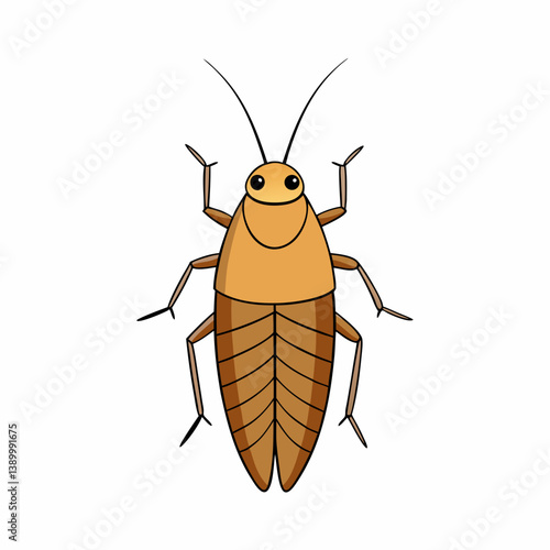 cockroach isolated on white background