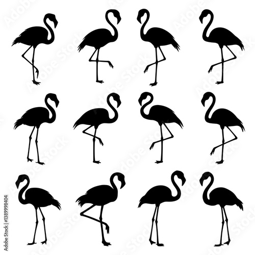 Flamingo Silhouette Vector Bundle Black and White Flamingo Clipart EPS Illustration