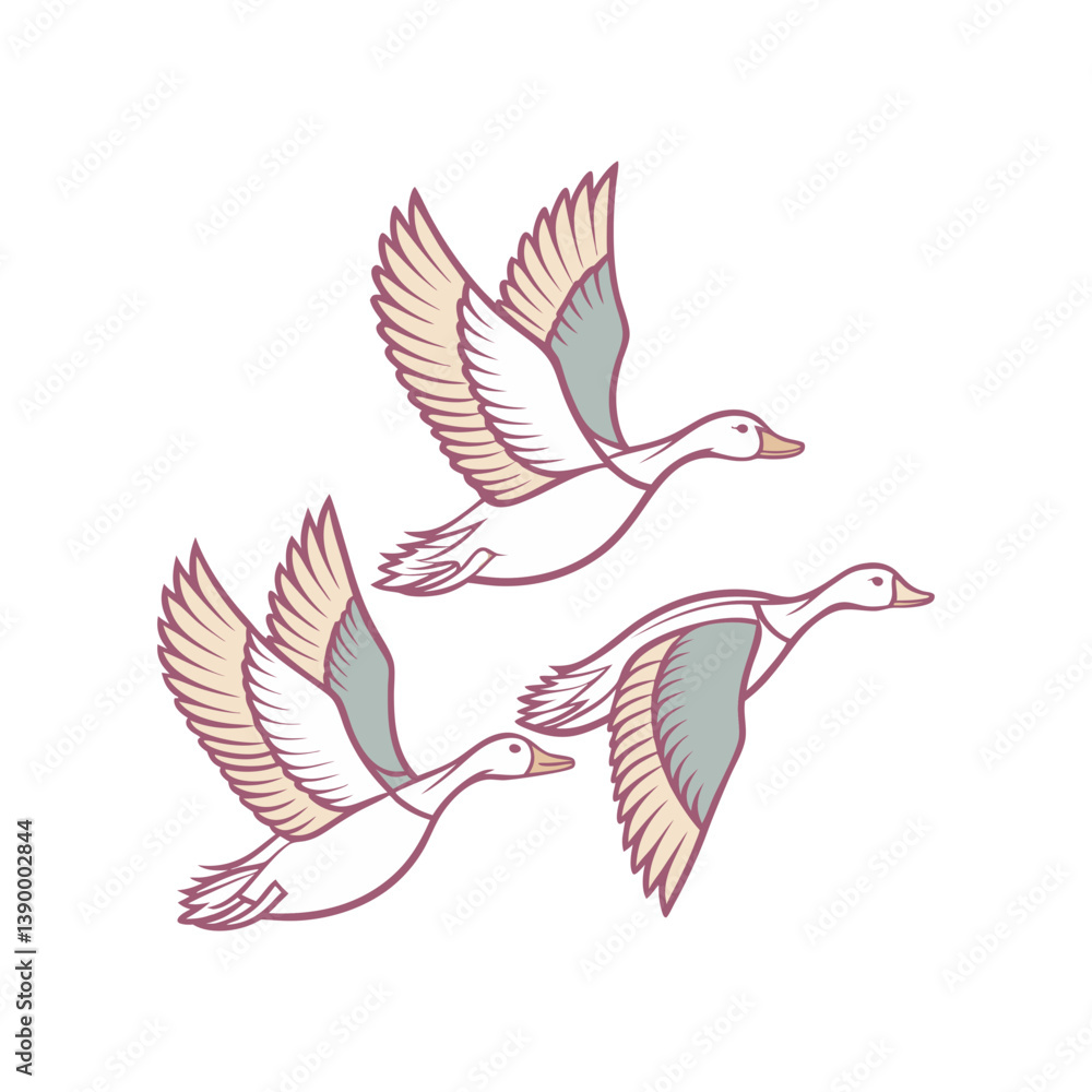 Fototapeta premium vector illustration of three flying-ducks (1) 