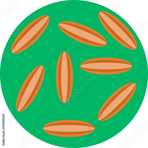 A small, oval-shaped spice seed used in cooking for its warm, earthy flavor.