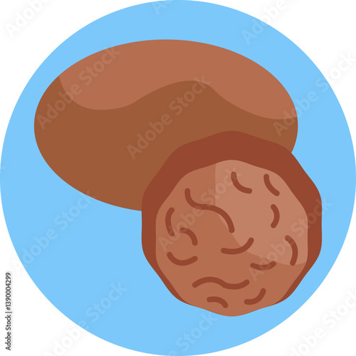 Nutmeg – A whole nutmeg seed, often grated into powder for use in baking, cooking, and beverages.