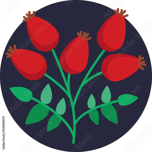Rose Hip: A small, red fruit of the wild rose plant, often used in herbal teas and jams for its vitamin C content.