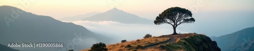 Rolling fog envelops solitary tree on a misty South African mountaintop , spectacular, beautiful, travel