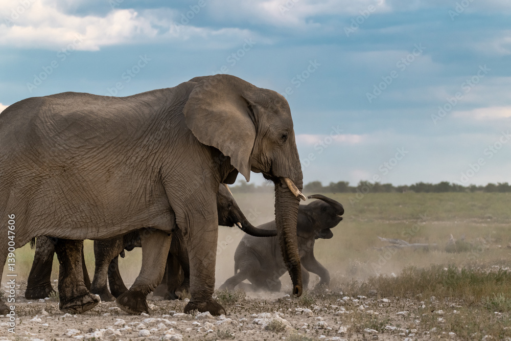 Fototapeta premium elefant in wild savanna, africa