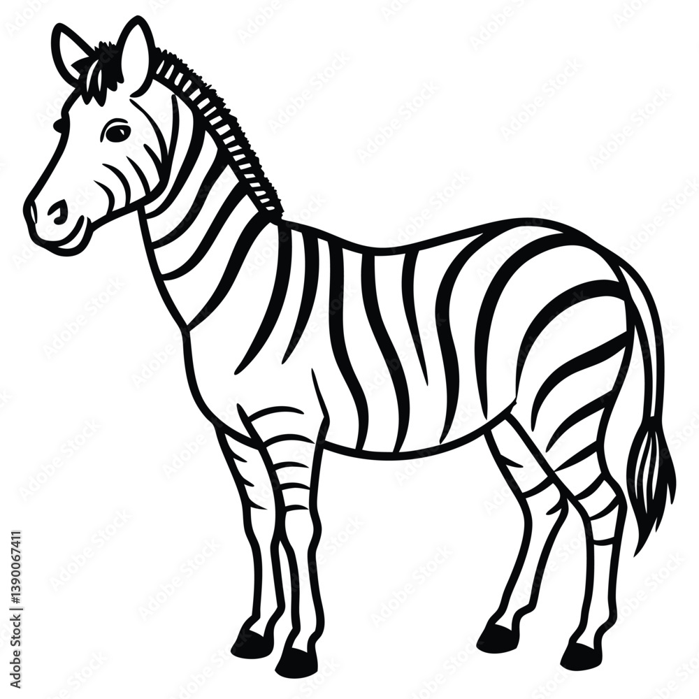 Obraz premium Zebra vector illustration standing isolated on white background with stripes and silhouette
