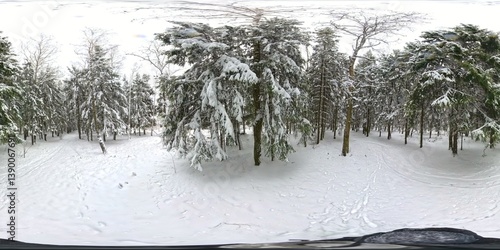Winter full spherical hdri panorama 360 degrees angle view road in a snowy pinery forest with gray pale sky in equirectangular projection for unreal engine, blender, 3ds max