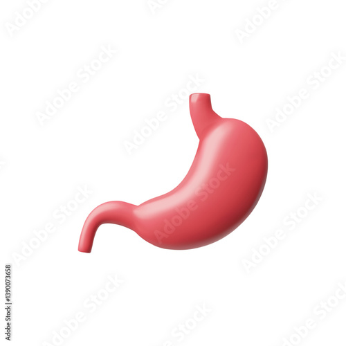 3D vector illustration of human stomach. Digestive system.