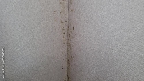Black mold, mildew, fungus on the wall inside the house. Dampness and poor ventilation is the most common cause of mold growth.