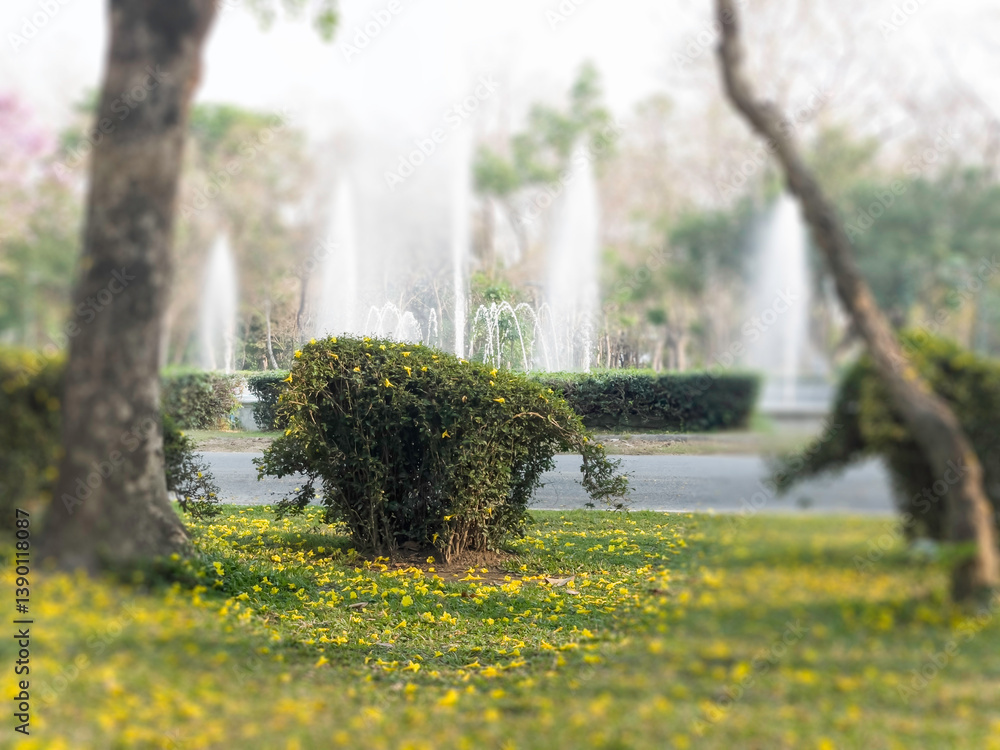 Outdoor garden with blooming flowers in the summer