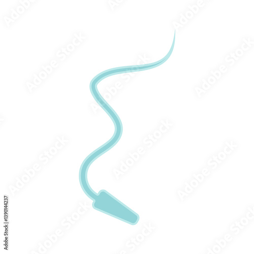Human Sperm tail Anatomy