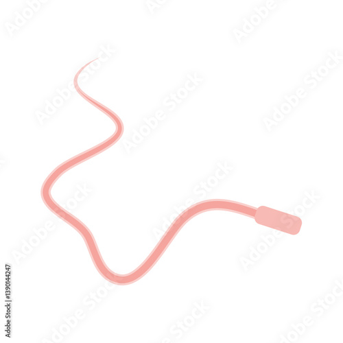 Human Sperm tail Anatomy