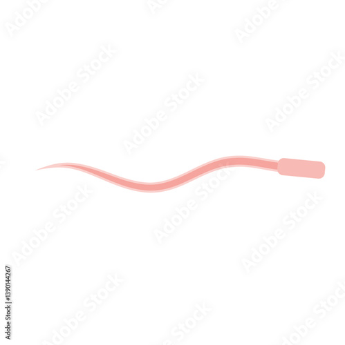 Human Sperm tail Anatomy
