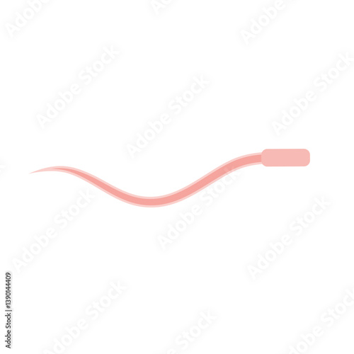 Human Sperm tail Anatomy