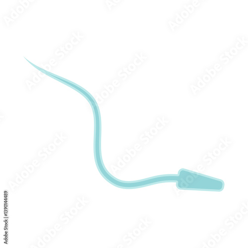 Human Sperm tail Anatomy