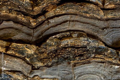 Close-up of layered dolomite and domal stromatolites