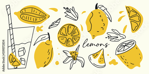 Set of hand drawn lemons and lemon slices,lemonade. Tropical fruit doodles in sketch style. Perfect for summer designs, water, juice, and detox drink themes. Vector illustration.