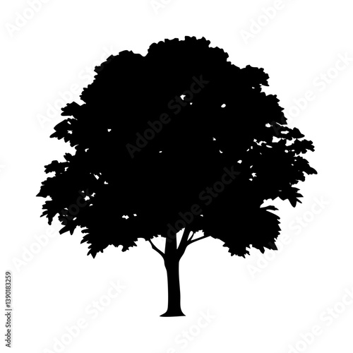 beech tree icon, beech tree line art - simple line art of beech tree, perfect for beech tree logos and icons