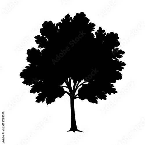 beech tree icon, beech tree line art - simple line art of beech tree, perfect for beech tree logos and icons