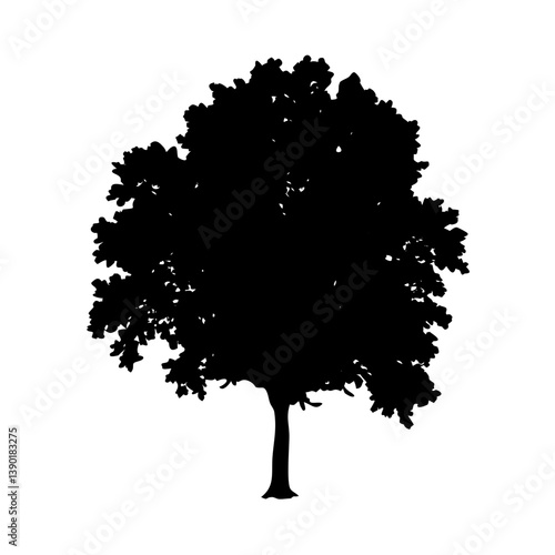 beech tree icon, beech tree line art - simple line art of beech tree, perfect for beech tree logos and icons