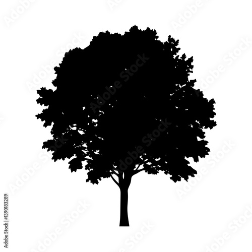 beech tree icon, beech tree line art - simple line art of beech tree, perfect for beech tree logos and icons