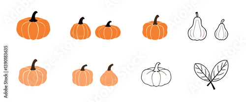 collection of pumpkins and gourds in hues