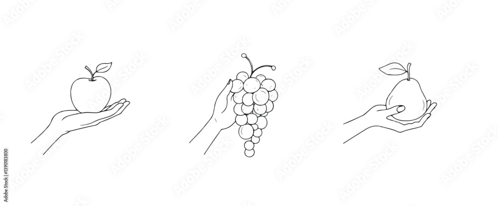 drawing of hands holding an grapes and a pear. drawing of hands holding an grapes and a pear.