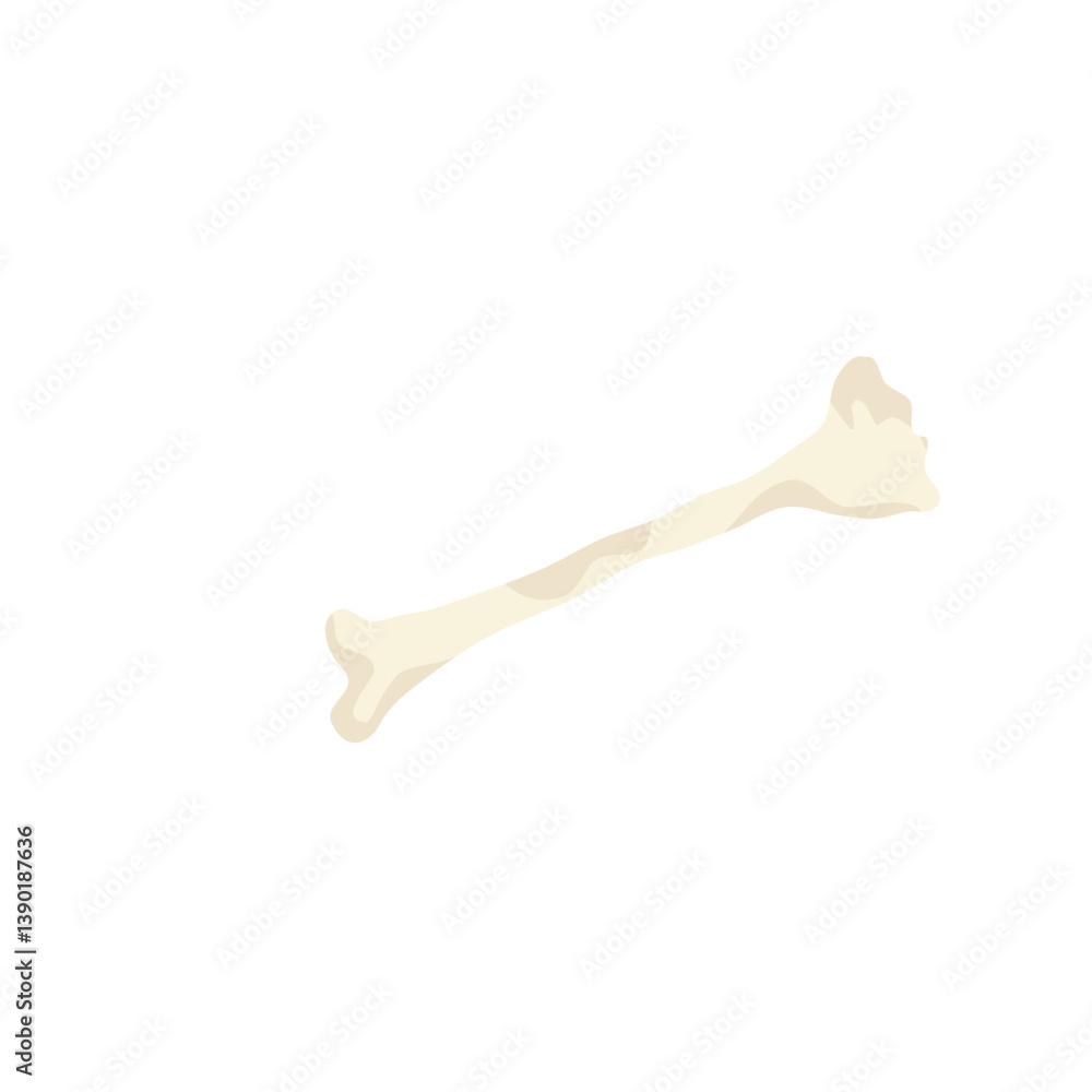 Cartoon fossil bone. Prehistoric animal fossil icon. Vector illustration. Cartoon fossil bone. Prehistoric animal fossil icon. Vector illustration.