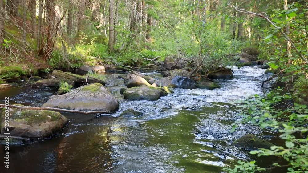 Serene Forest Stream Flowing Through Lush Greenery Serene Forest Stream Flowing Through Lush Greenery