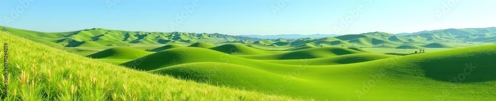 Obraz premium Rolling hills of Crete Senesi in the province of Siena, Tuscany, Italy under a clear blue sky, countryside, Siena